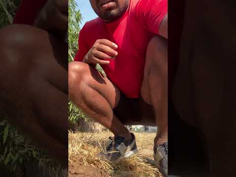 Toh Dishoom Raftaar And Shahid Mallya