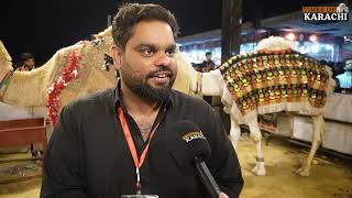 DALFA Expo Karachi 2026: Stunning Designer Camels Become Viral Attraction