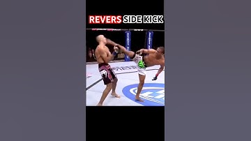 Lesson: Revers side kick : #traning #fighter #karate #mma #teakwando #kickboxing #sidekick #shorts