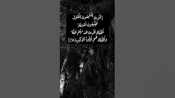 سورة الزمر الآية ١٧ الى ١٩ بصوت الشيخ محمد صديق المنشاوي
