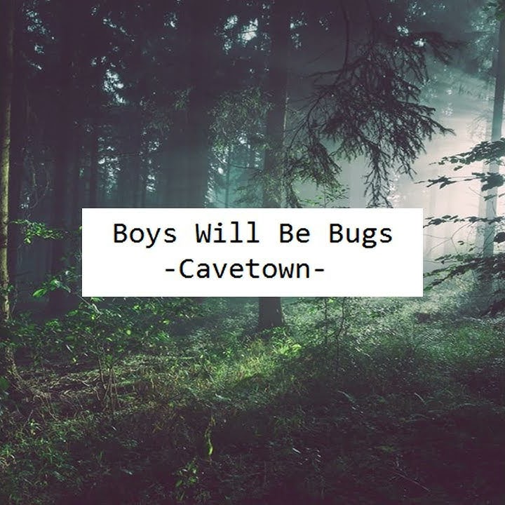 Cavetown - boys will be bugs (cover)