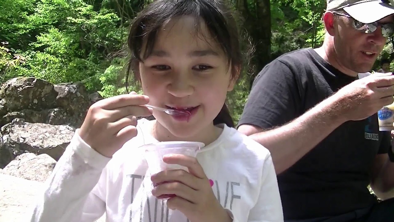 The Best Hiking Trail In The World YouTube