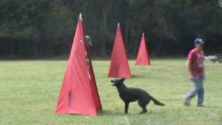 Bob Pac & Lusy Naspo Sch III Protection 96pts