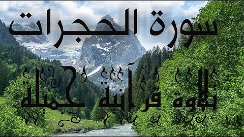 تلاوة قرانية هادئة 💚تريح القلوب ❤والاعصاب المتوترة من سورة الحجرات