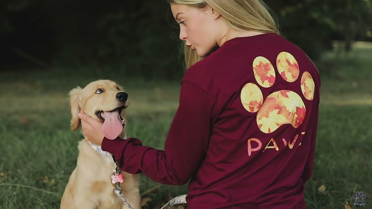 Pawz Saves Dogs!
