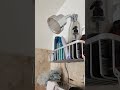 The luxurious eskiin filtered showerhead