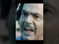 كمال الشناوي