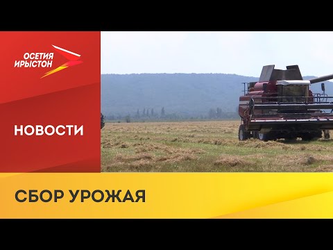 В Кировском районе подходит к концу сбор озимых культур - пшеницы и ячменя