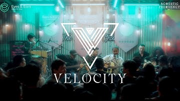 Acoustic Frequency Tape: 1 - Velocity Live Performance ( Official Full Video )
