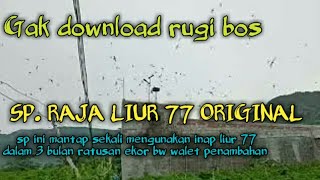 sp raja liur 77 original sp terbaik dari andi sufar/sufar sinar 77