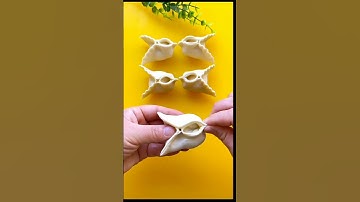asian delicious food | dumpling wrapping method |moosaquotes