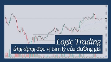 Tâm Lý Cung Cầu Thị Trường: 4 Pattern Volume Profile Giải Mã Hành Vi Smart Money
