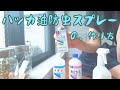 【暮らしを良くする】ハッカ油虫除けスプレーの作り方 / 一人暮らしのナチュラルライフ