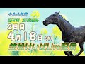 笠松けいばライブ配信R6.04.18