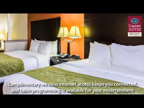 Comfort Suites Westchase Tx Hotel Hotel Near Westchase Tx