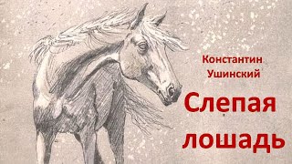 Константин Ушинский &quot;Слепая лошадь&quot;