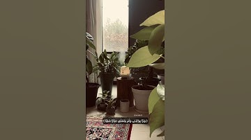 سورة مريم آية 30 | علي جابر