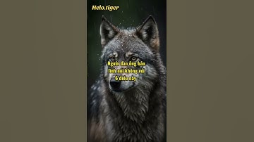 người đàn ông bản lĩnh là những người nào? #baihoccuocsong #nhungcaunoihaytrongcuocsong #cuocsong