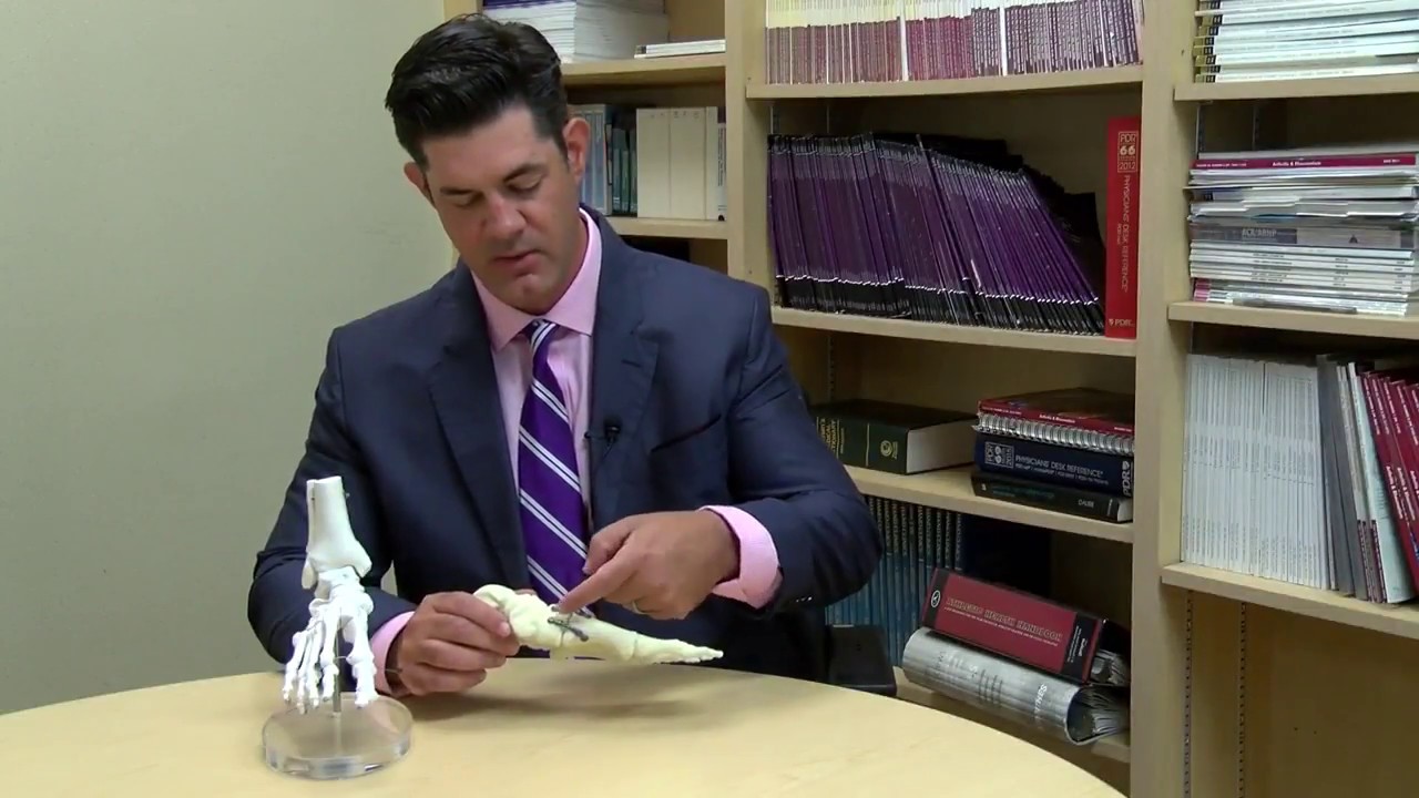 Dr. Roussel Local DVM interview YouTube