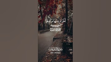 ﴿أَأَنتُم أَشَدُّ خَلقًا أَمِ السَّماءُ بَناها﴾ سورة النازعات #عبدالولي_الاركاني