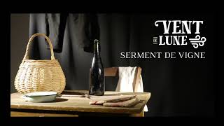 Vignette de la vidéo youtube