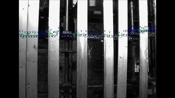 AMS Solutions Inc - Lug Loader Infeed