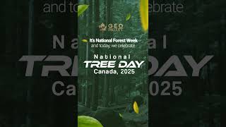 Trees Are Even Cooler Than You Thought. #trendingreels #shortsfeed #forest