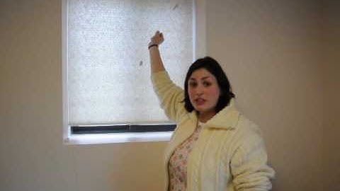 How to Operate Standard/Standard Top Down/Bottom Up Shades