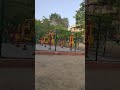 open zim ka prachalan delhi ncr main