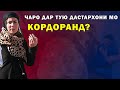 Модари тоҷик аз қонуни "танзим" шикоят дорад..