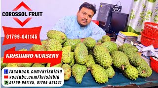 আলহামদুলিল্লাহ। ১ম রোজায় করোসল ফল হাতে পেলাম। করোসল ফল পাতা ও গাছ পাচ্ছেন স্বল্প দামে। 01799-041145