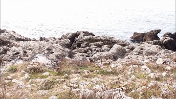 Nova Lux - "Tetraktys" promotional video