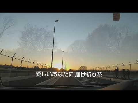 祈り花/平井 大/清水わかなカバー