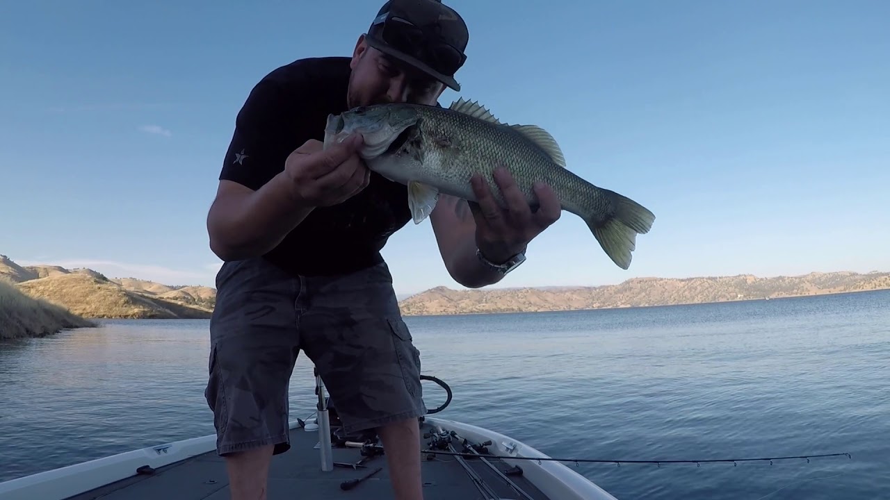 Millerton Lake Bass Fishing YouTube