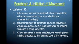 Chapter 11_part 1_Movement in the brain