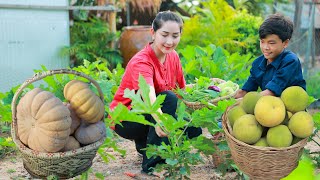 Harvest Pumpkin for Curd, Santol Fruit Delicious, Vegetable around home so good, Cooking with Sros