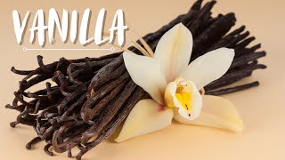 Top 10 Surprising Health Benefits of Vanilla #food#health#vanilla#spice