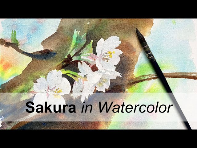 Paint Sakura in Watercolor | Tutorial 【水彩画】桜の描き方
