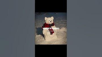 Snowman - Sia !! #love #newmusic #winter #lyrics #song #aesthetic