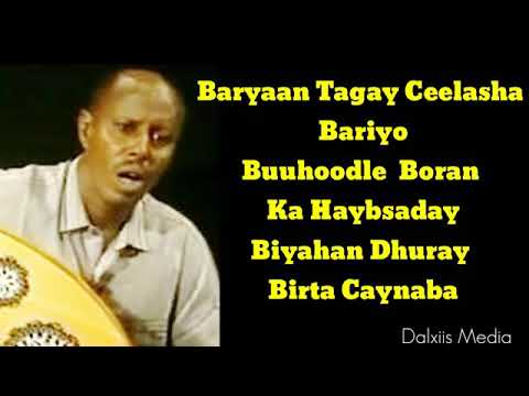 Aun Cumar Dhuule Bar Yaan Tagay Celasha Bariyo