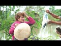 72 Hours of Fear 😨 Girl Faces Deadly Giant Cobra While Harvesting Jackfruit — Fight for Survival!