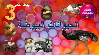 التكاثر عند الحيوانات البيوضة