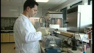 Pycnogenol® for Sports Nutrition