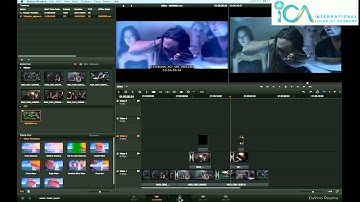 DaVinci Resolve "Reference Movie"