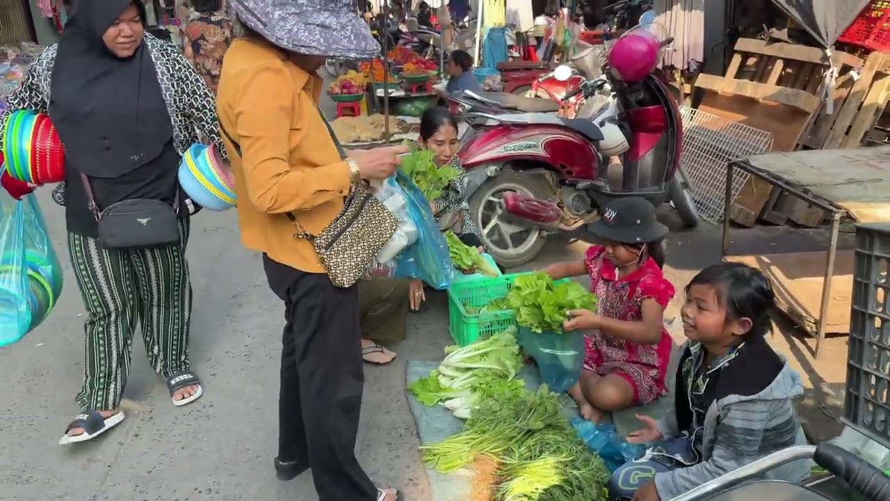 នាយក្រិនបេះបន្លែអោយកូនយកទៅលក់🥰🥰