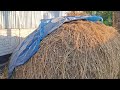 Village video