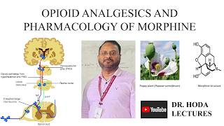 Opioid Analgesics and Pharmacology of Morphine