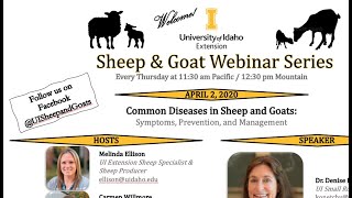 Common Diseases in Sheep and Goats (UI Extension Sheep & Goat Webinar Series)