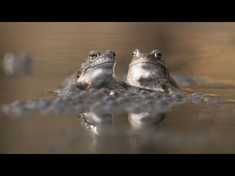 Video: So Wählen Sie Eine Blende Aus