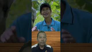 UNTUK USAHA PERLU 3 M #shorts #reaction